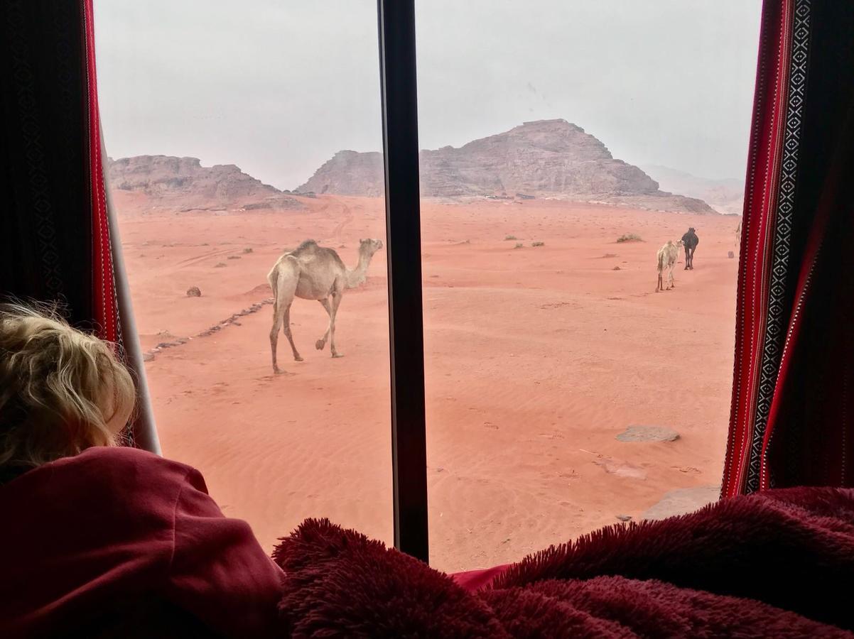 Wadi Rum Starlight Camp Kültér fotó